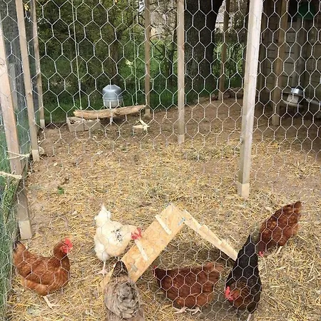 Appartement Le Pre D'olonne