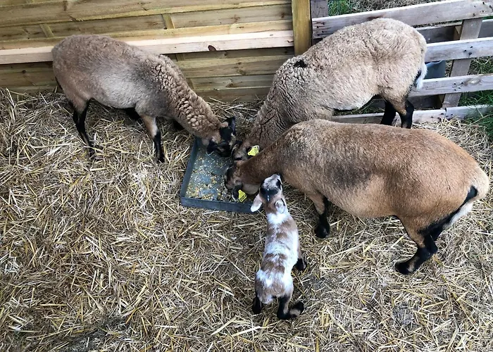 Le Pre D'olonne * Olonne-sur-Mer