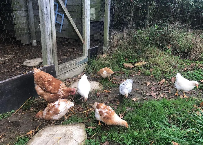 Le Pre D'olonne * Olonne-sur-Mer