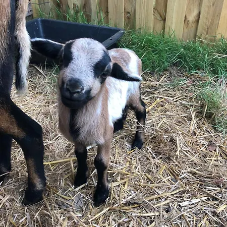 Le Pre D'olonne Olonne-sur-Mer