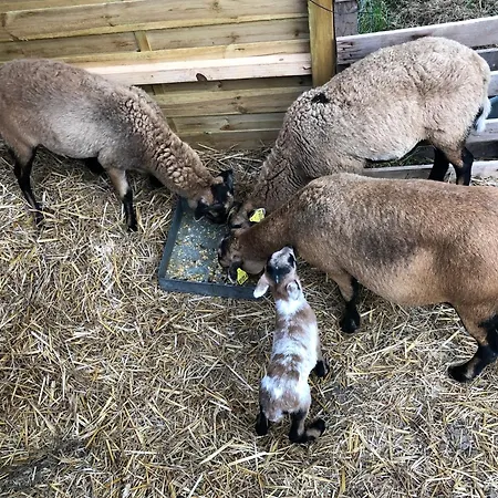 Le Pré D'olonne * Olonne-sur-Mer