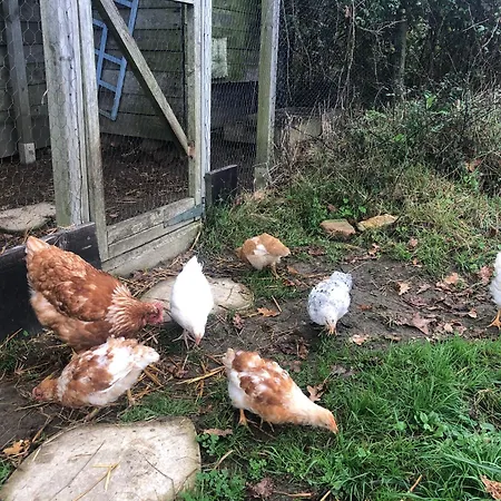 Le Pre D'olonne * Olonne-sur-Mer