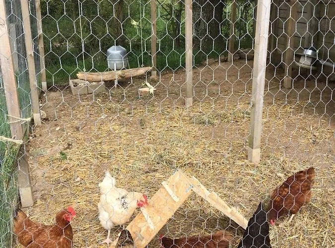 Appartamento Le Pré D'olonne